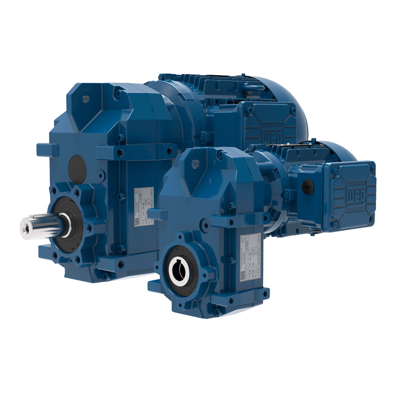 WG20 Parallel Shaft Geared Motor