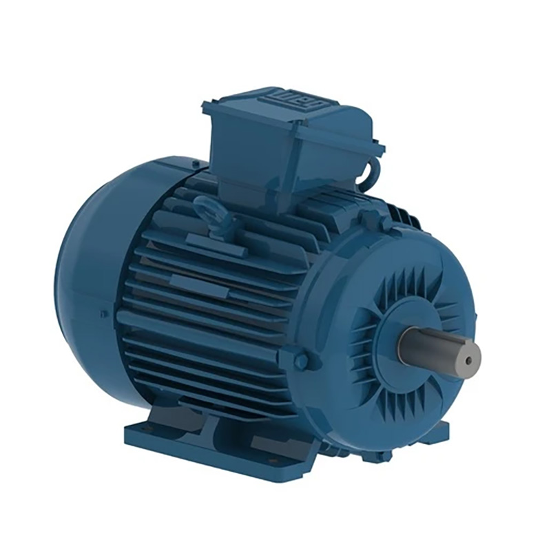 EUSAS Explosion Proof Motors - Image 2