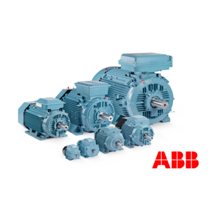 ABB Induction Motor